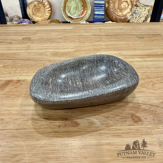 Reserve Fossilized Dinosaur Bone Bowl 4.97’’ - Fossil Bowl