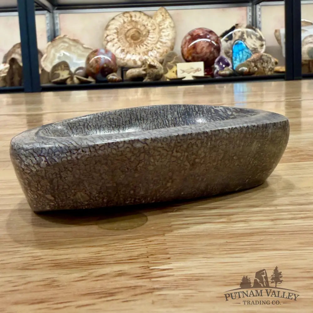Reserve Fossilized Dinosaur Bone Bowl 4.97’’ - Fossil Bowl