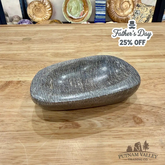 Reserve Fossilized Dinosaur Bone Bowl 4.97’’ - Fossil Bowl