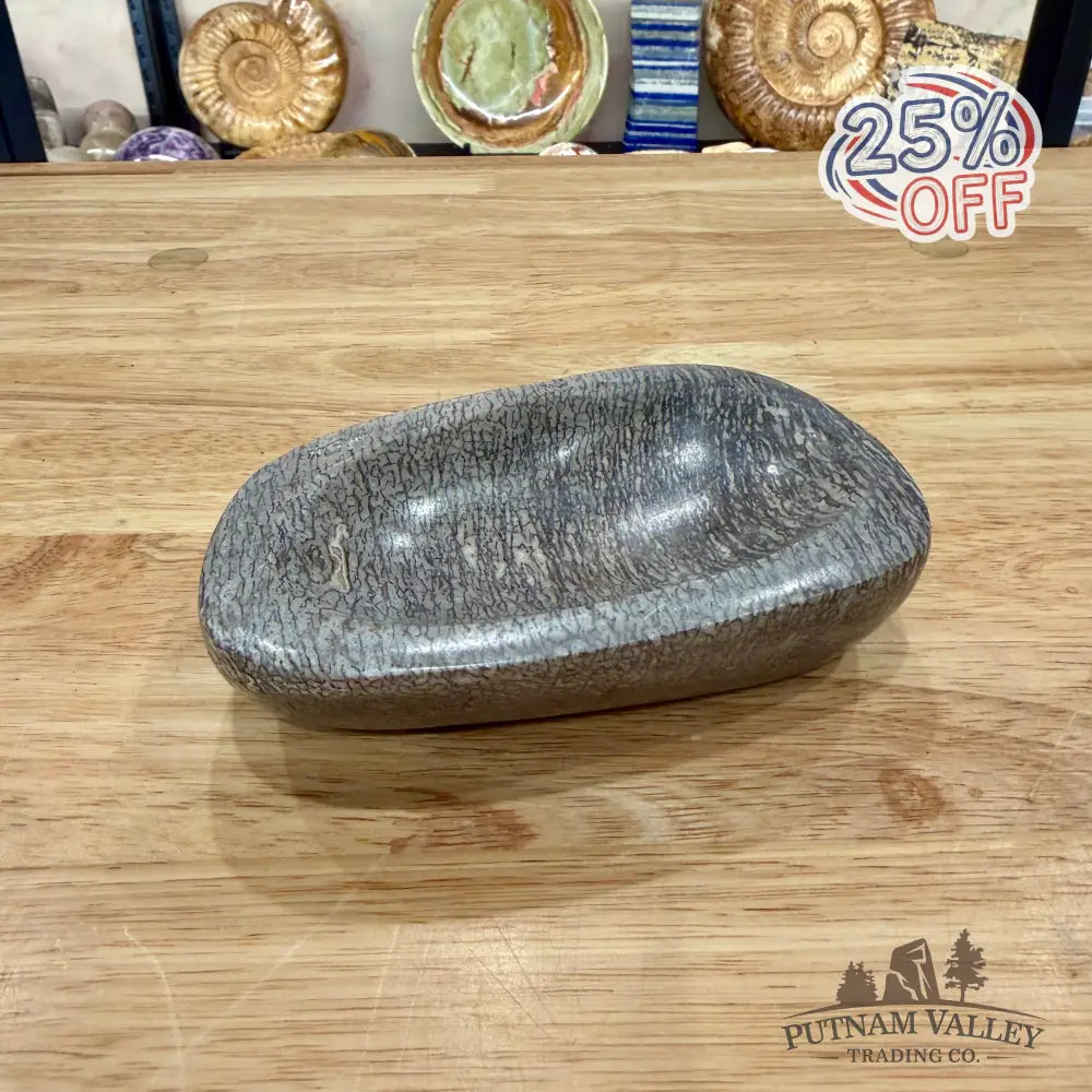 Reserve Fossilized Dinosaur Bone Bowl 4.97’’ - Fossil Bowl