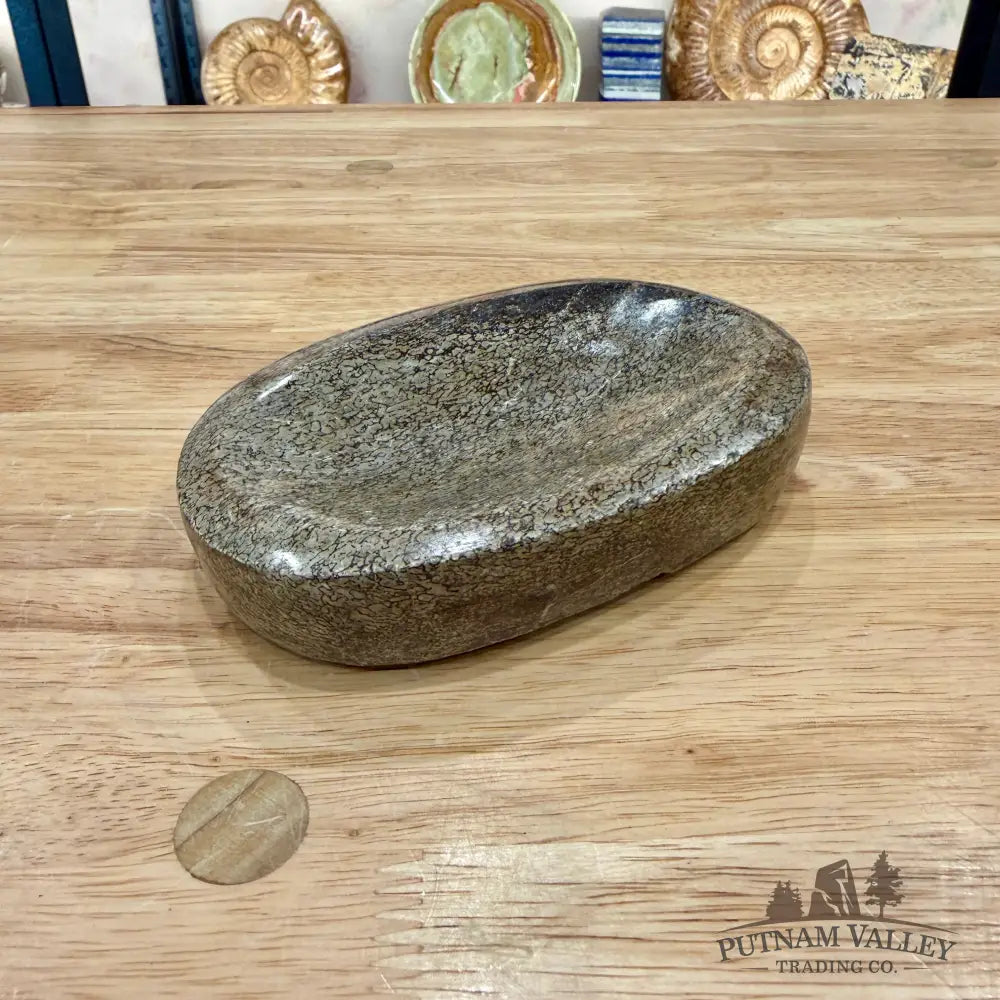 Reserve Fossilized Dinosaur Bone Bowl 5.48’’ - Fossil Bowl
