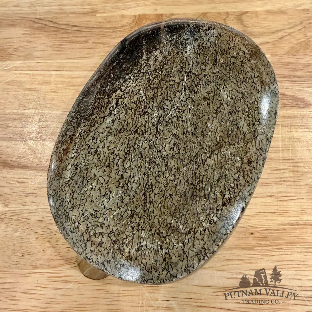 Reserve Fossilized Dinosaur Bone Bowl 5.48’’ - Fossil Bowl