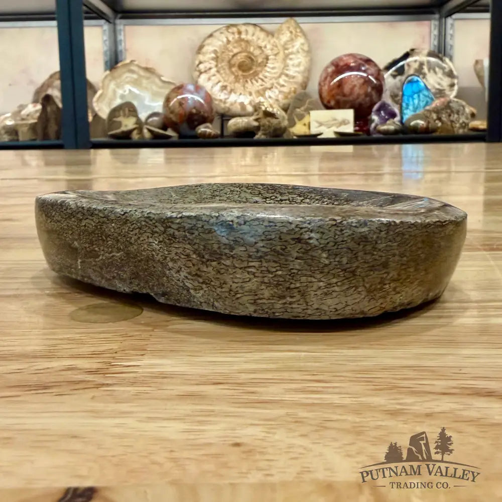 Reserve Fossilized Dinosaur Bone Bowl 5.48’’ - Fossil Bowl