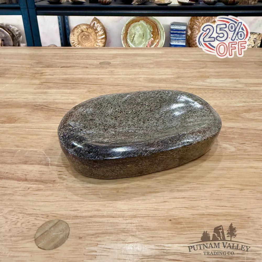 Reserve Fossilized Dinosaur Bone Bowl 5.48’’ - Fossil Bowl