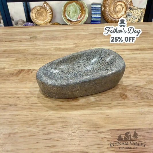 Reserve Fossilized Dinosaur Bone Bowl 5’’ - Fossil Bowl