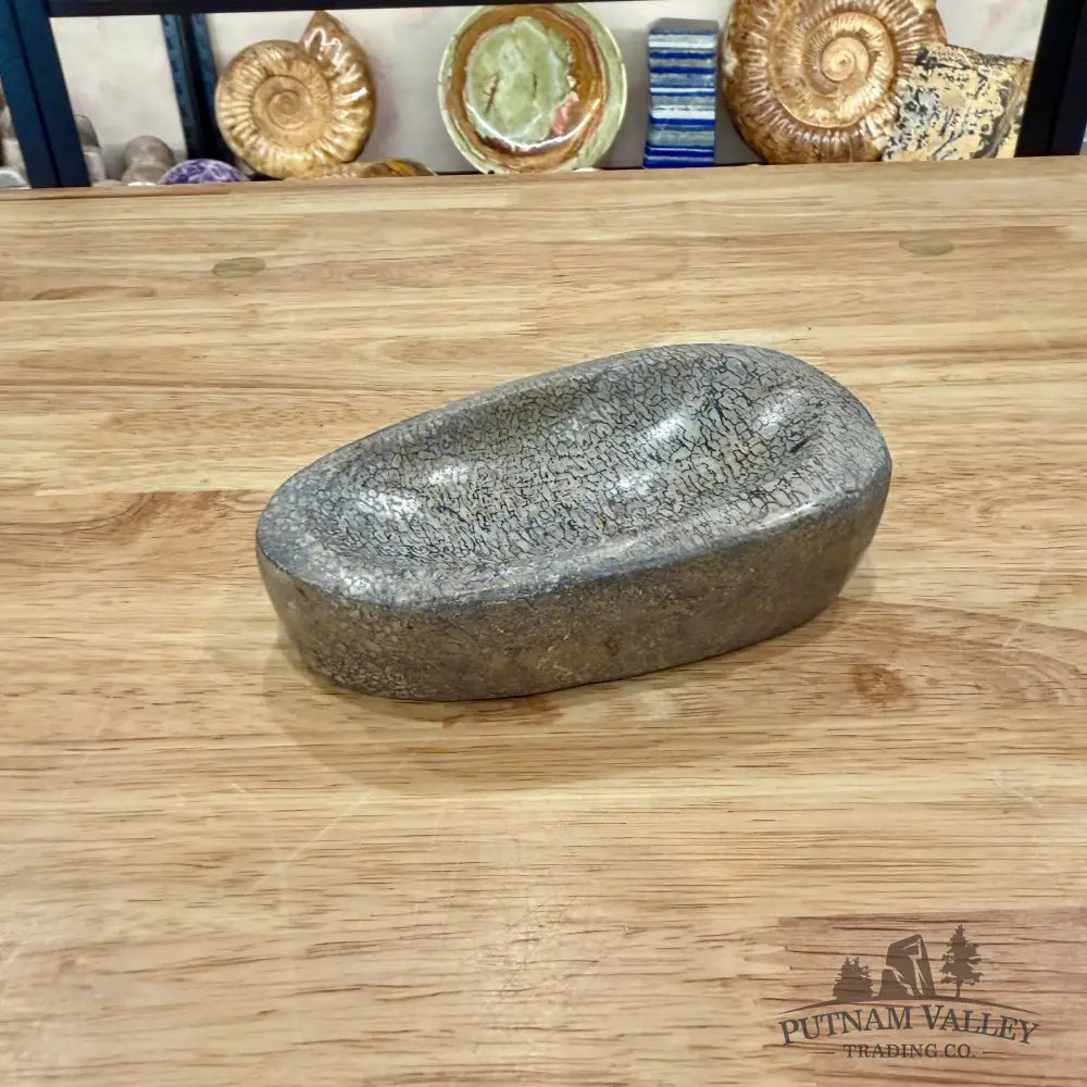 Reserve Fossilized Dinosaur Bone Bowl 5’’ - Fossil Bowl