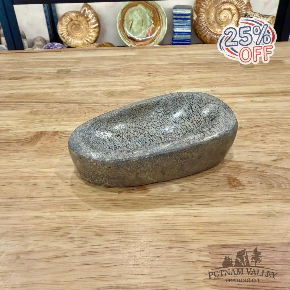 Reserve Fossilized Dinosaur Bone Bowl 5’’ - Fossil Bowl