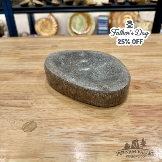 Reserve Fossilized Dinosaur Bone Bowl 6.9’’ - Fossil Bowl