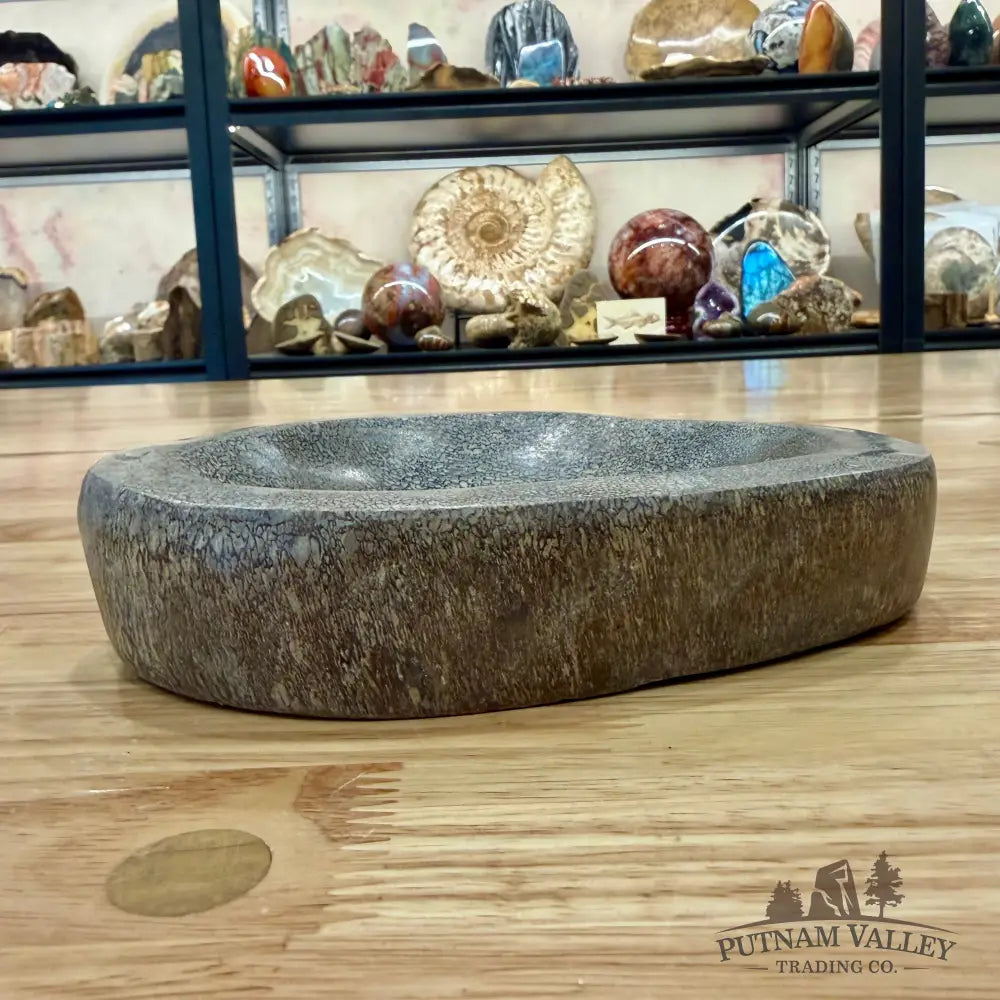 Reserve Fossilized Dinosaur Bone Bowl 6.9’’ - Fossil Bowl