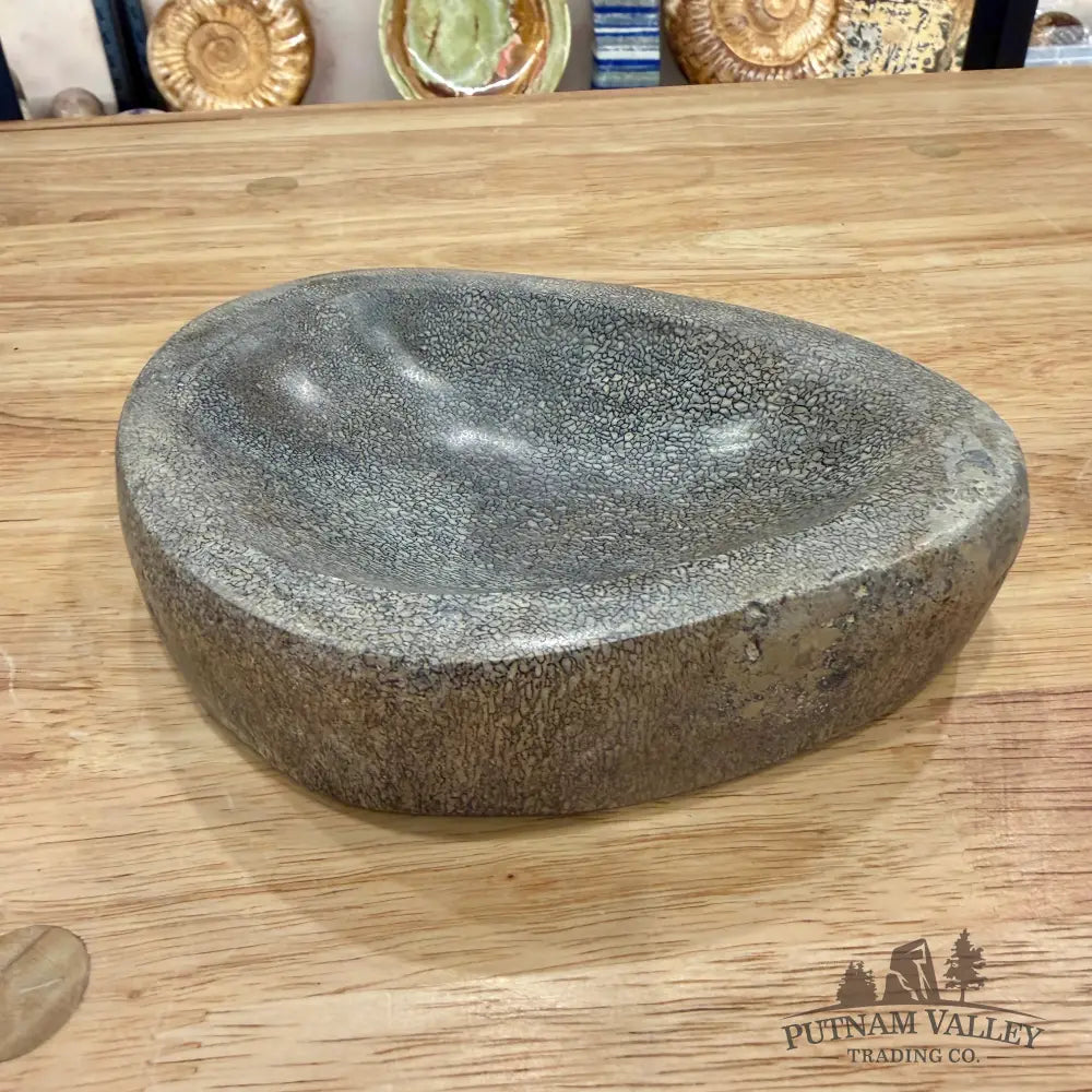 Reserve Fossilized Dinosaur Bone Bowl 6.9’’ - Fossil Bowl