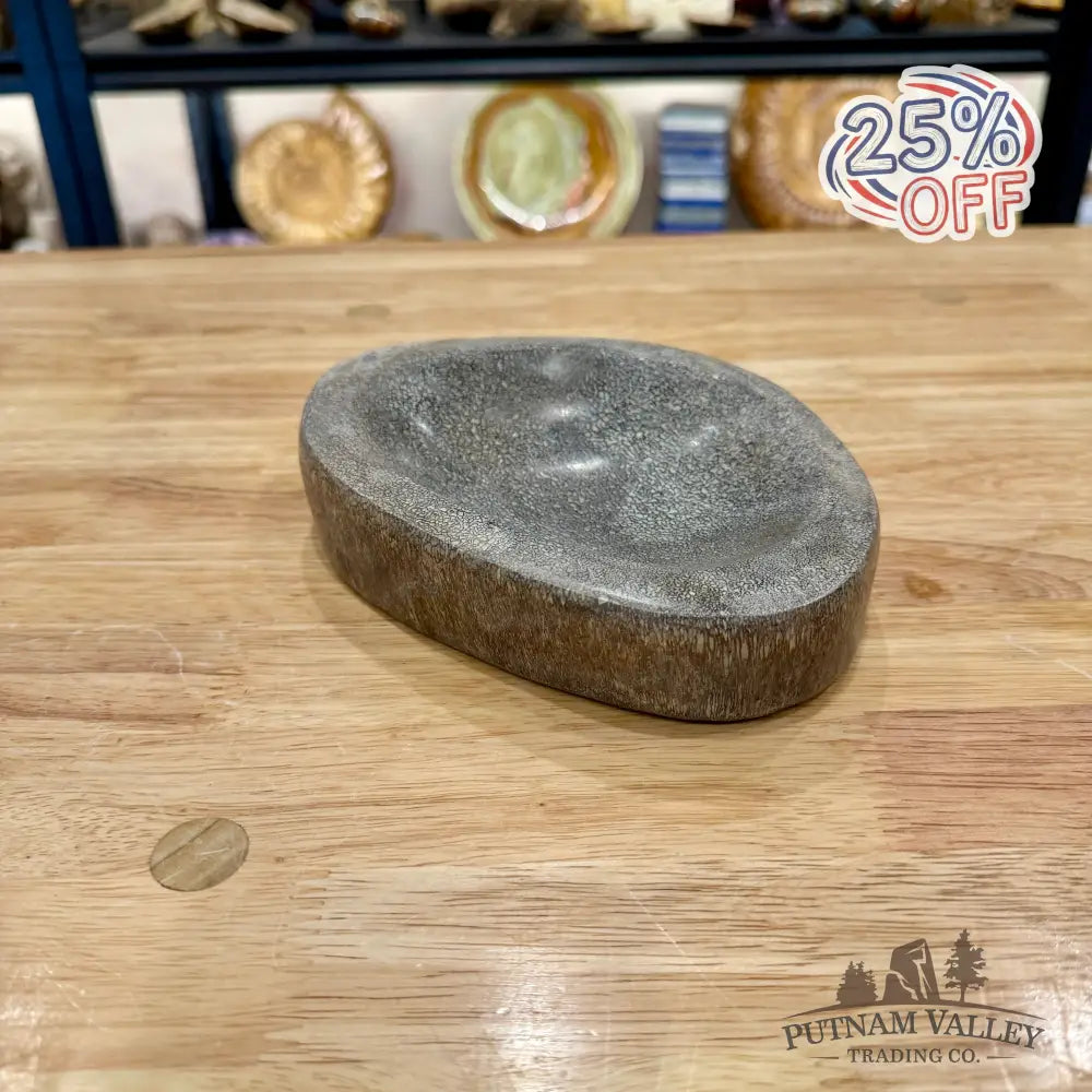 Reserve Fossilized Dinosaur Bone Bowl 6.9’’ - Fossil Bowl