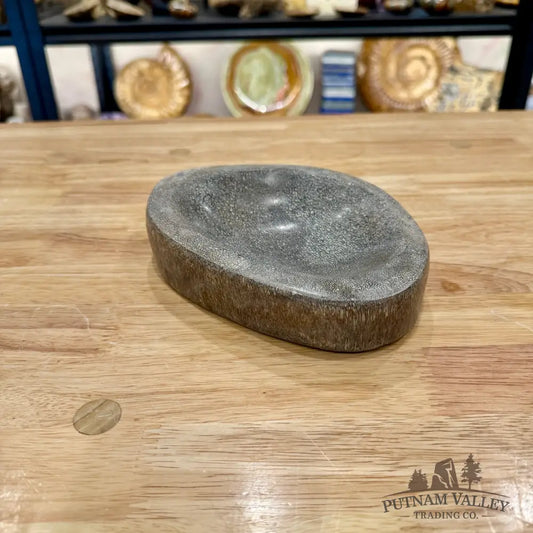 Reserve Fossilized Dinosaur Bone Bowl 6.9’’ - Fossil Bowl