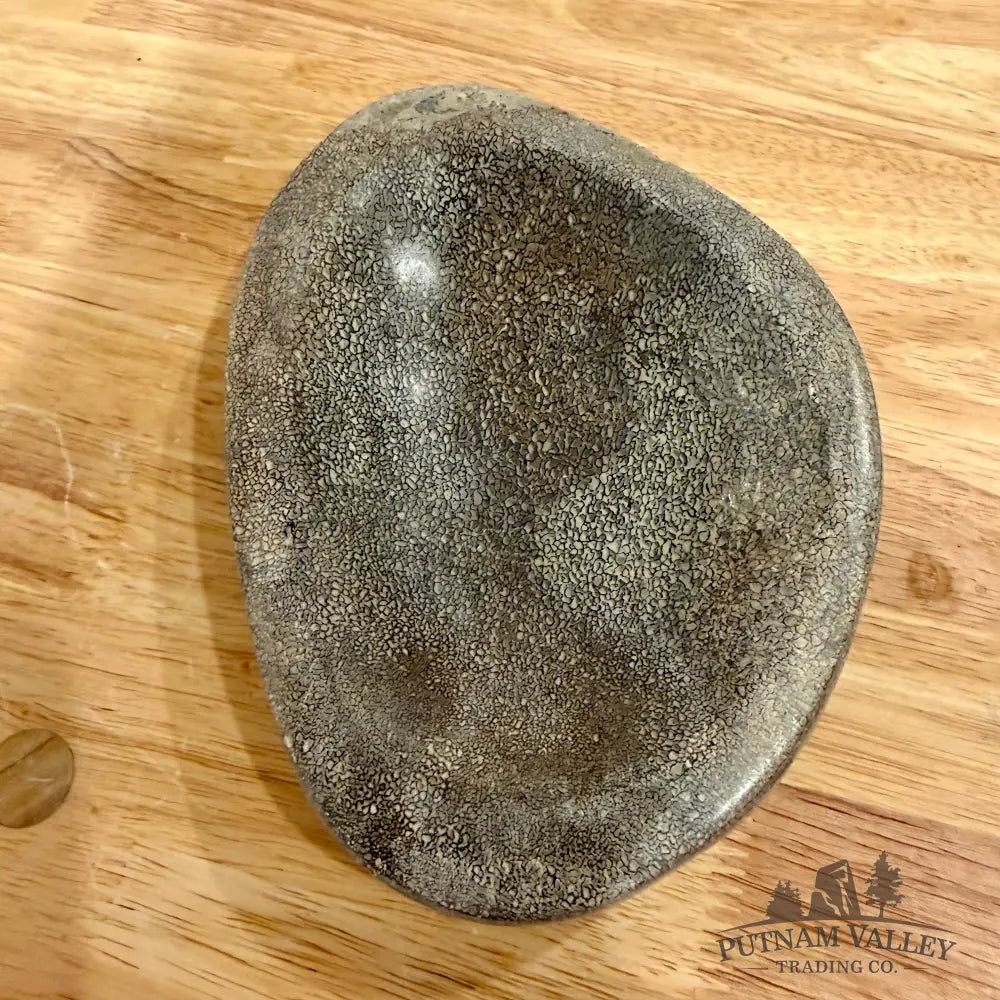 Reserve Fossilized Dinosaur Bone Bowl 6.9’’ - Fossil Bowl
