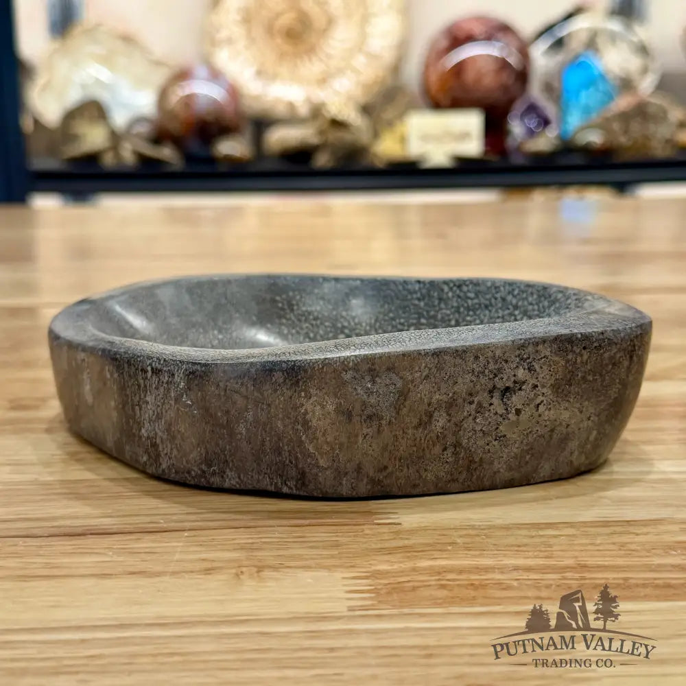 Reserve Fossilized Dinosaur Bone Bowl 7.1’’ - Accent