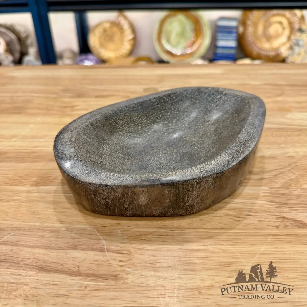 Reserve Fossilized Dinosaur Bone Bowl 7.1’’ - Accent