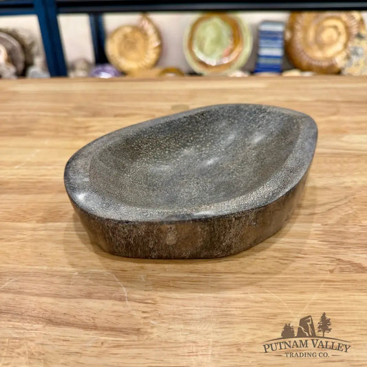Reserve Fossilized Dinosaur Bone Bowl 7.1’’ - Accent