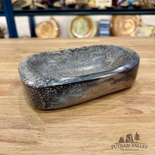 Reserve Fossilized Dinosaur Bone Bowl 7’’ - Accent