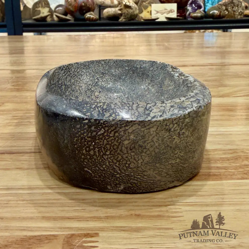 Reserve Fossilized Dinosaur Bone Bowl 7’’ - Accent
