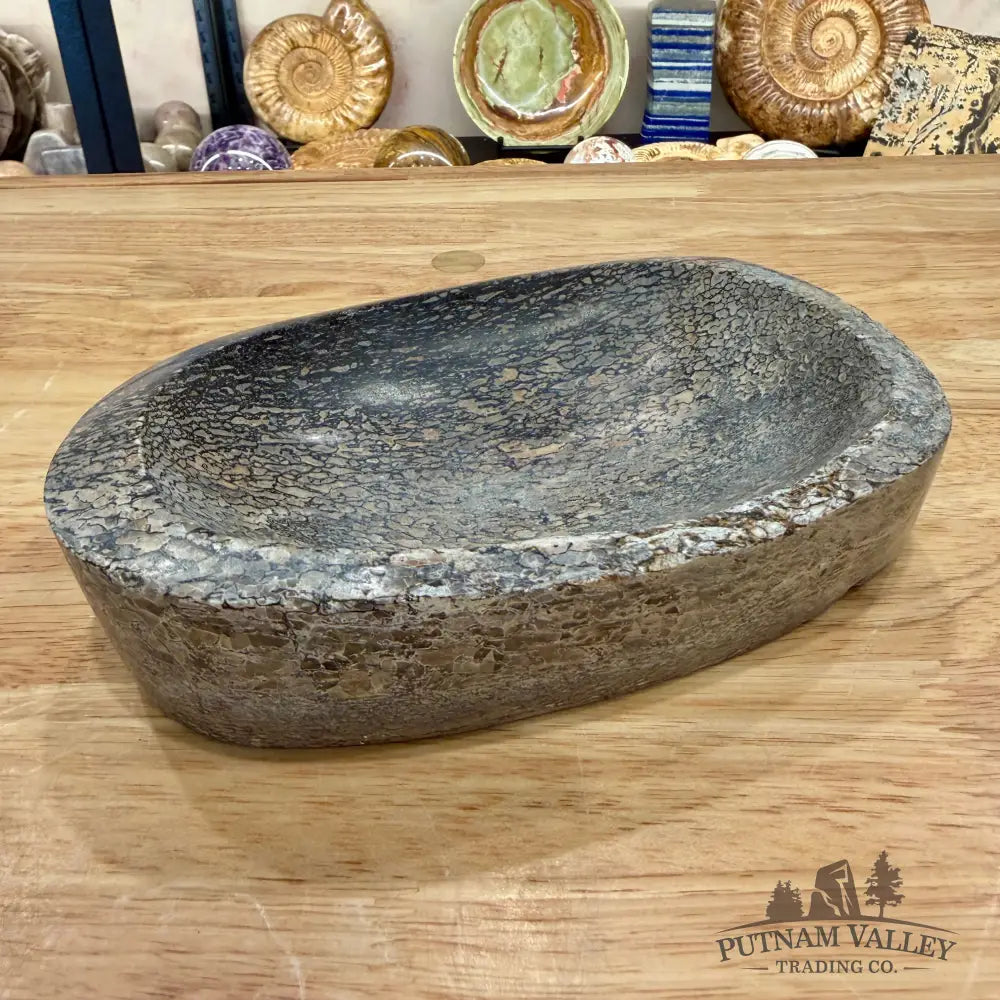 Reserve Fossilized Dinosaur Bone Bowl 7’’ - Accent