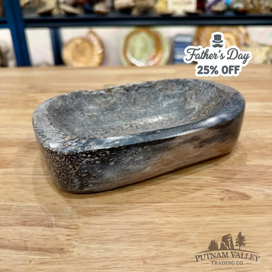 Reserve Fossilized Dinosaur Bone Bowl 7’’ - Accent