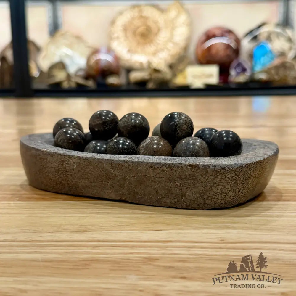 Reserve Fossilized Dinosaur Bone Bowl + Marbles - Fossil Bowl