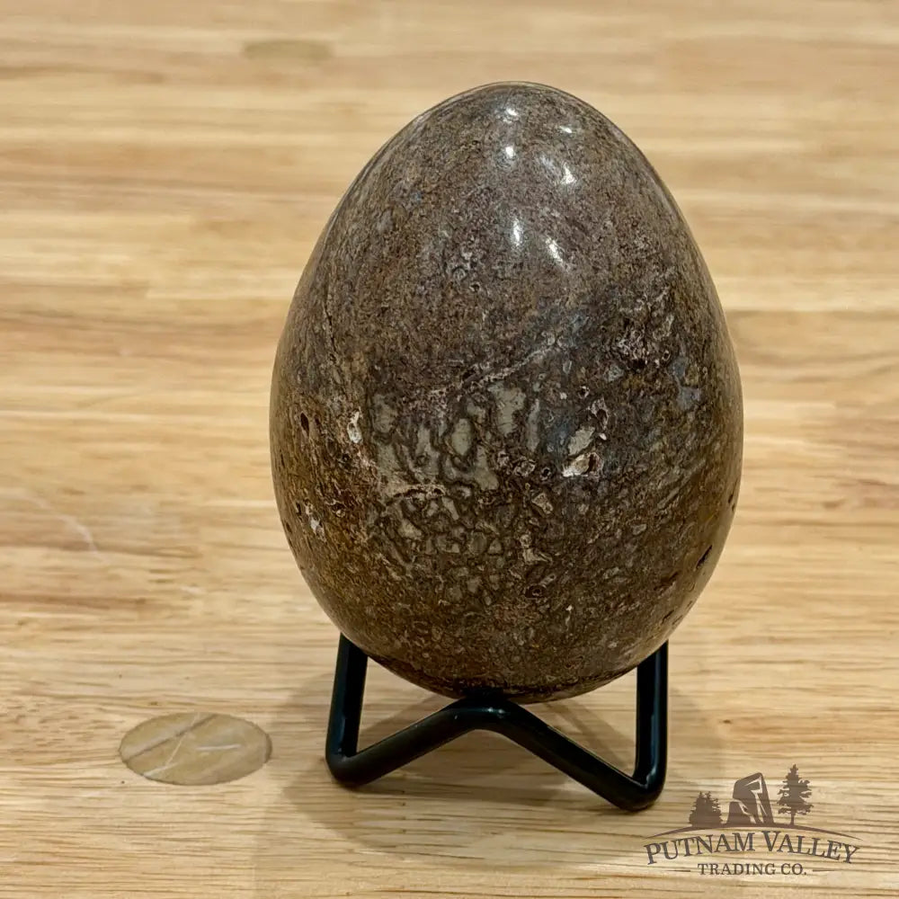 Reserve Fossilized Dinosaur Bone Egg 3’’ Egg