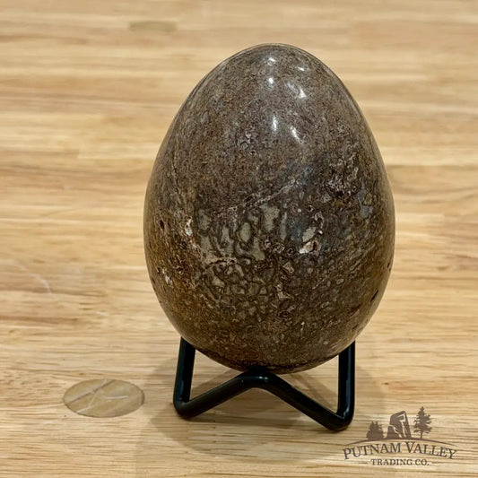 Reserve Fossilized Dinosaur Bone Egg 3’’ Egg