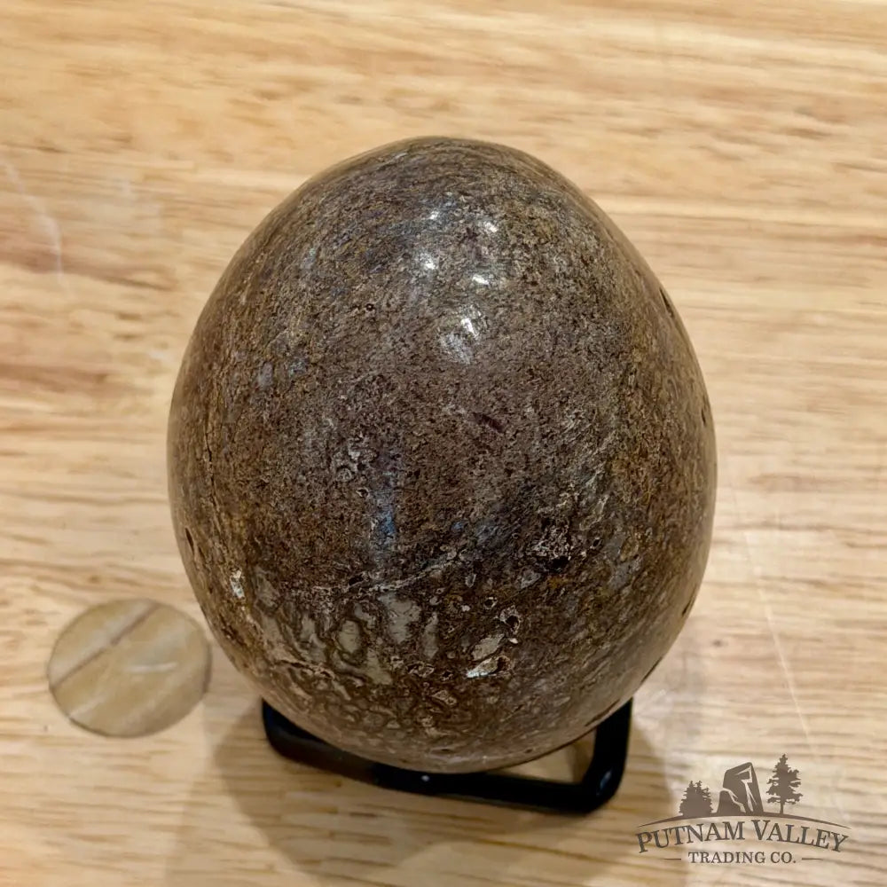 Reserve Fossilized Dinosaur Bone Egg 3’’ Egg