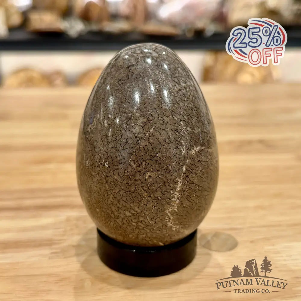 Reserve Fossilized Dinosaur Bone Egg 3.6’’ Egg