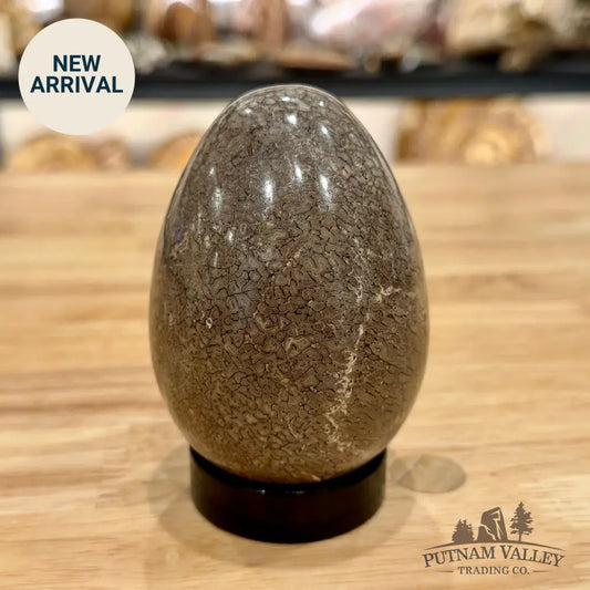 Reserve Fossilized Dinosaur Bone Egg 3.6’’ Egg