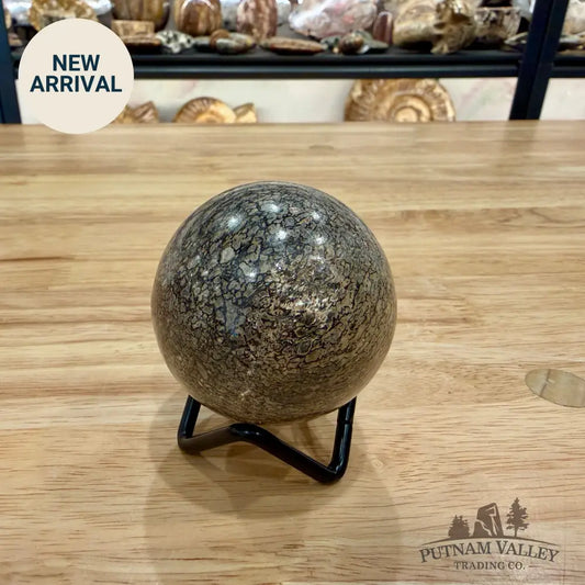 Reserve Fossilized Dinosaur Bone Sphere 2.19’’ Fossil Sphere