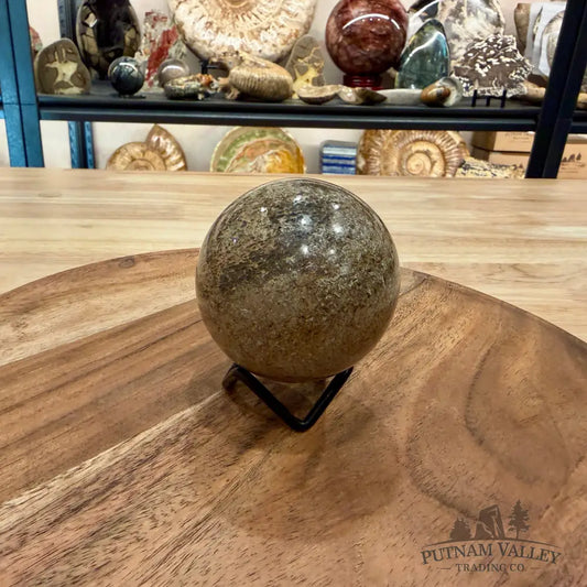 Reserve Fossilized Dinosaur Bone Sphere 2.63’’ - Fossil Sphere