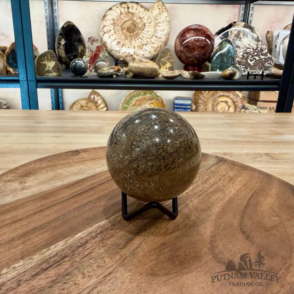 Reserve Fossilized Dinosaur Bone Sphere 2.63’’ - Fossil Sphere
