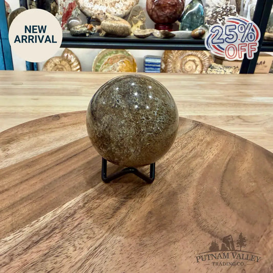 Reserve Fossilized Dinosaur Bone Sphere 2.63’’ - Fossil Sphere