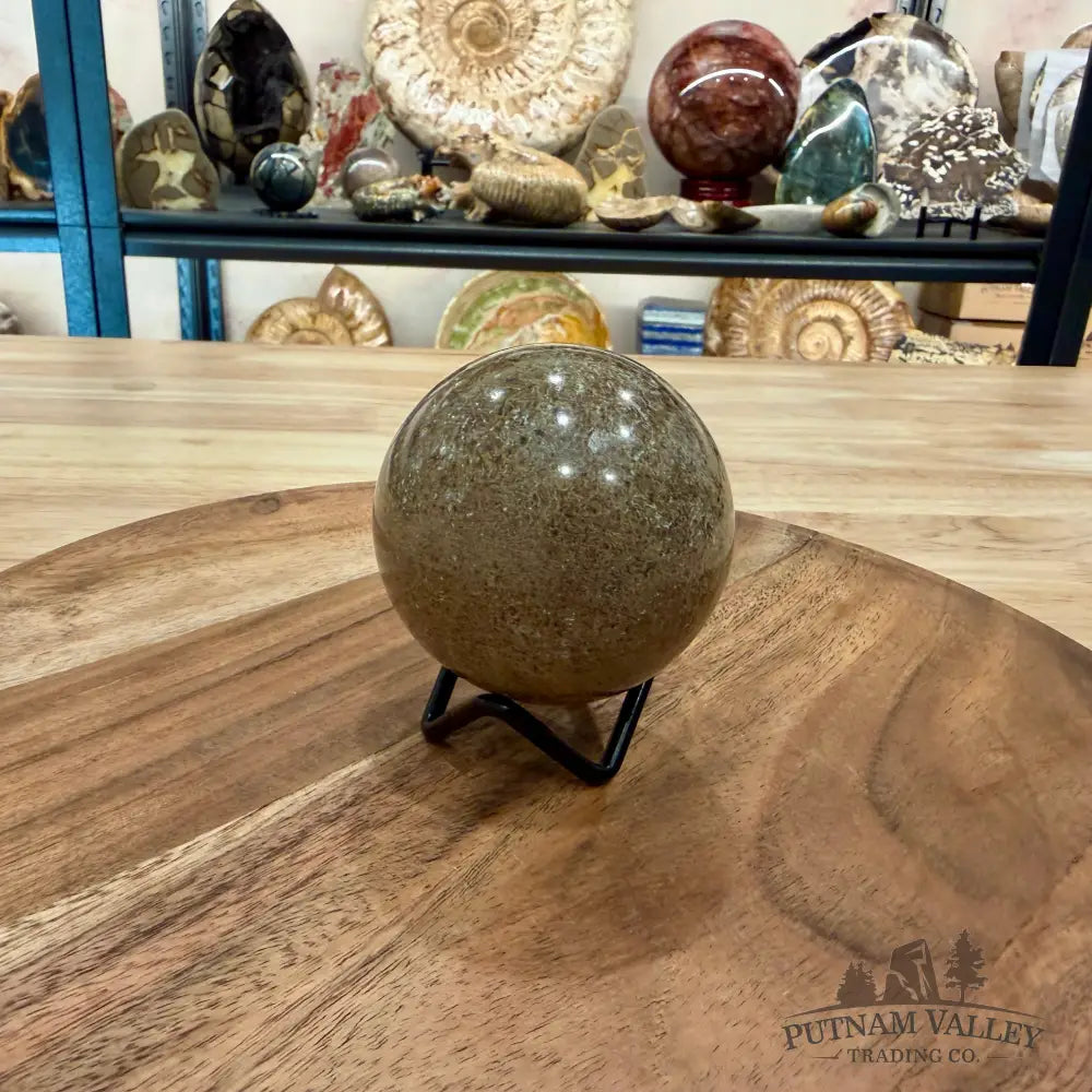 Reserve Fossilized Dinosaur Bone Sphere 2.63’’ - Fossil Sphere
