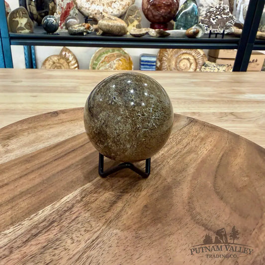 Reserve Fossilized Dinosaur Bone Sphere 2.63’’ - Fossil Sphere