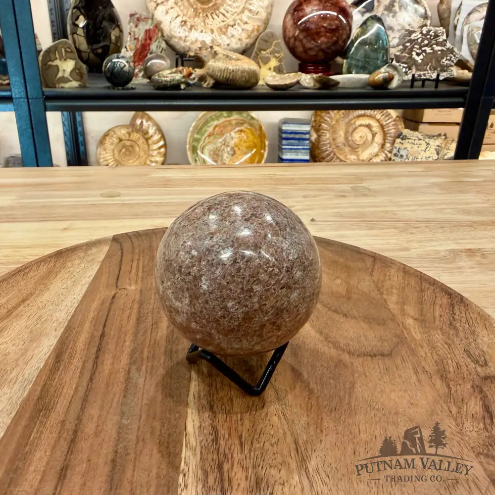 Reserve Fossilized Dinosaur Bone Sphere 2.7’’ - Fossil Sphere