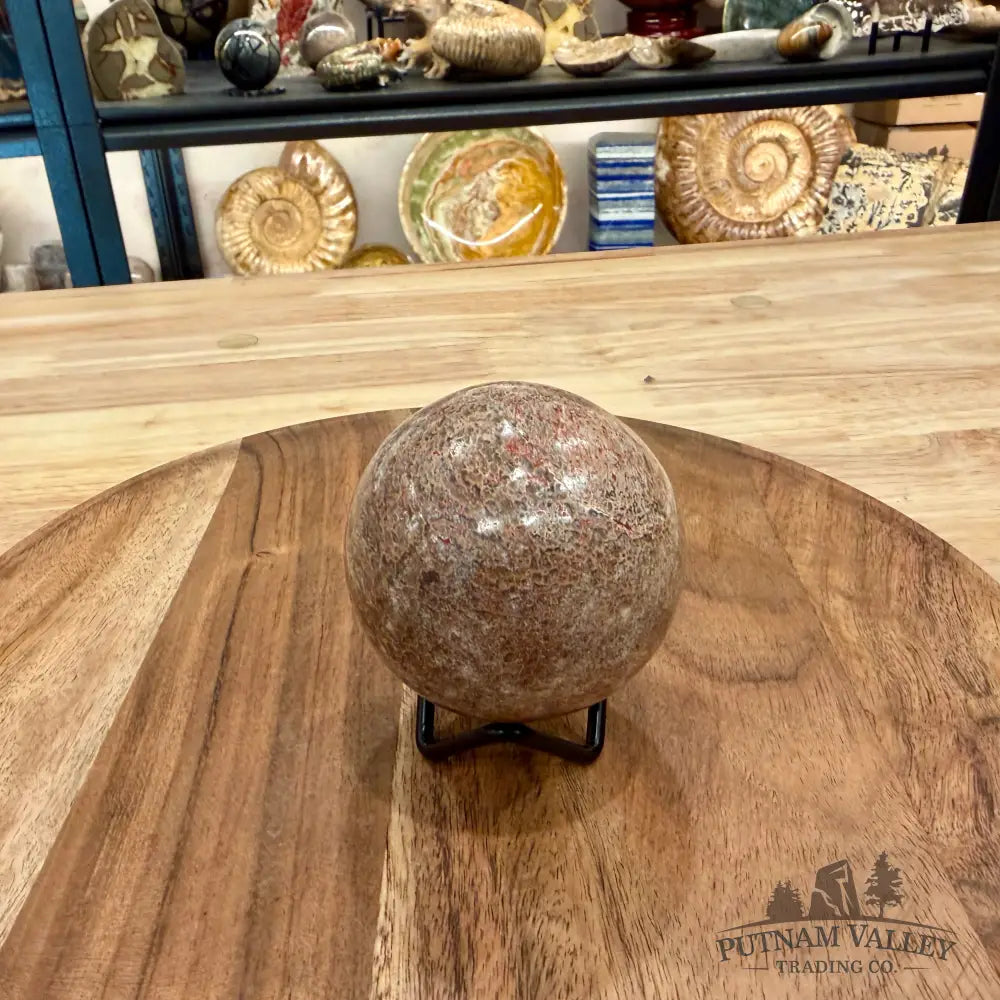 Reserve Fossilized Dinosaur Bone Sphere 2.7’’ - Fossil Sphere