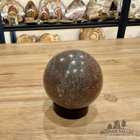 Reserve Fossilized Dinosaur Bone Sphere 2.86’’ Fossil Sphere