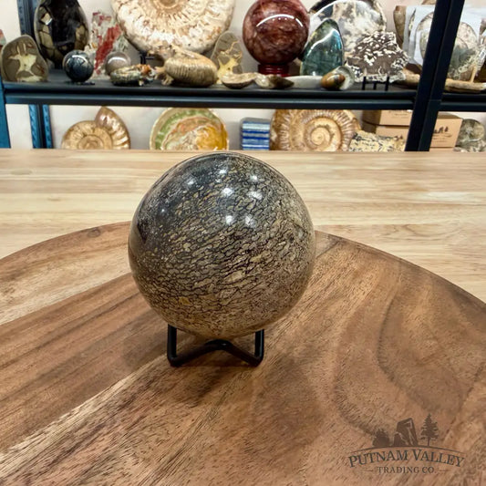 Reserve Fossilized Dinosaur Bone Sphere 2.87’’ - Fossil Sphere