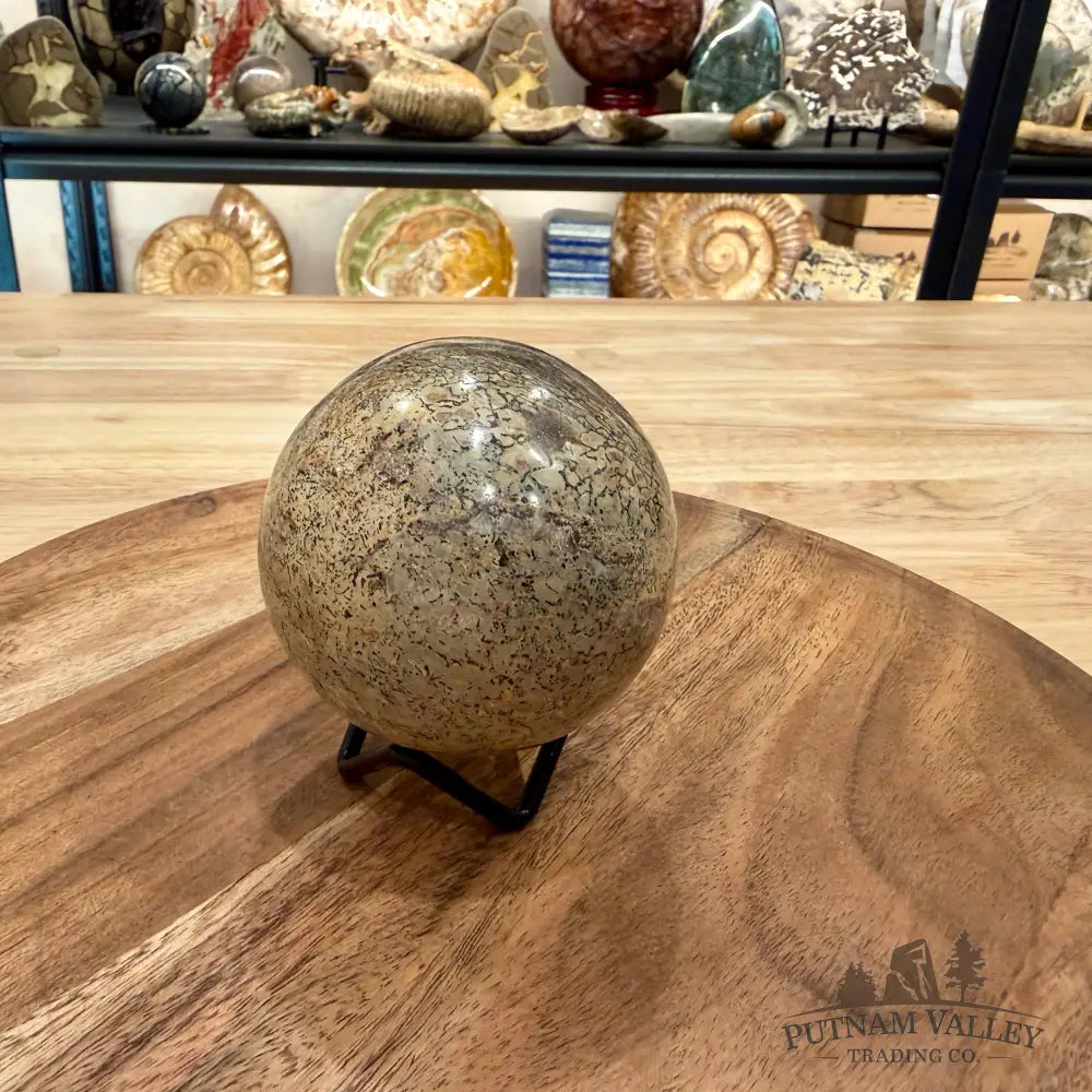 Reserve Fossilized Dinosaur Bone Sphere 2.87’’ - Fossil Sphere