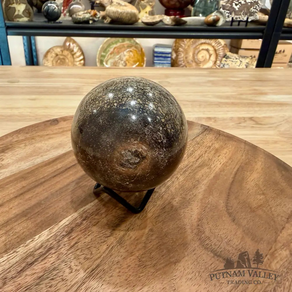 Reserve Fossilized Dinosaur Bone Sphere 2.87’’ - Fossil Sphere