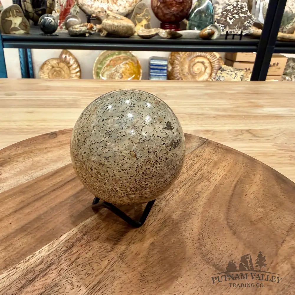 Reserve Fossilized Dinosaur Bone Sphere 2.87’’ - Fossil Sphere