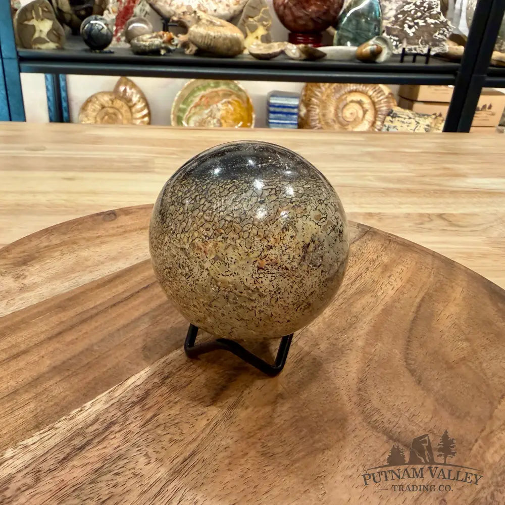 Reserve Fossilized Dinosaur Bone Sphere 2.87’’ - Fossil Sphere