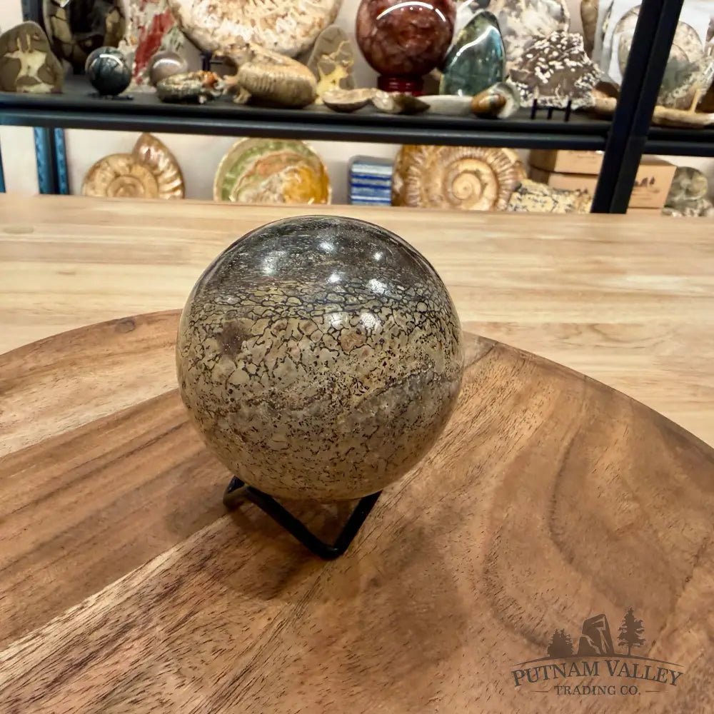 Reserve Fossilized Dinosaur Bone Sphere 2.87’’ - Fossil Sphere