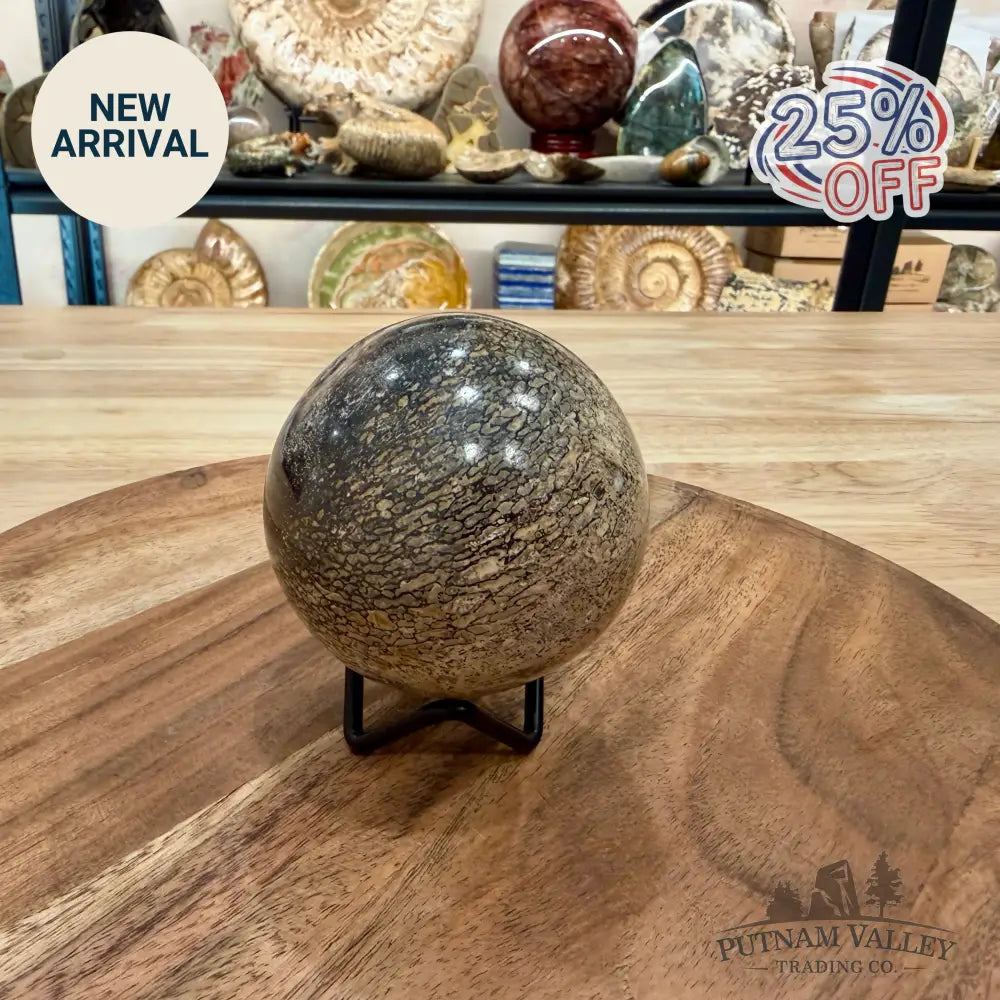 Reserve Fossilized Dinosaur Bone Sphere 2.87’’ - Fossil Sphere