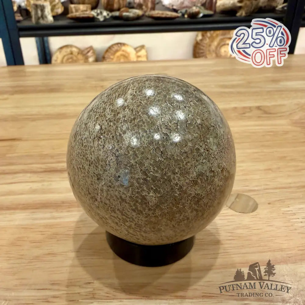 Reserve Fossilized Dinosaur Bone Sphere 3.04’’ Fossil Sphere
