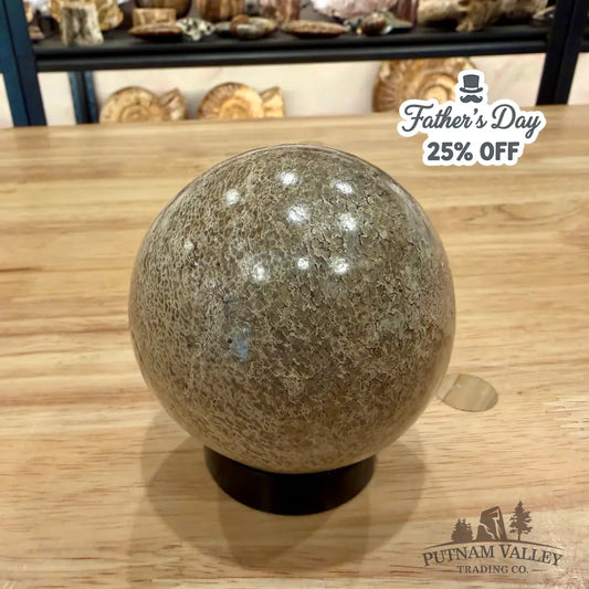 Reserve Fossilized Dinosaur Bone Sphere 3.04’’ Fossil Sphere