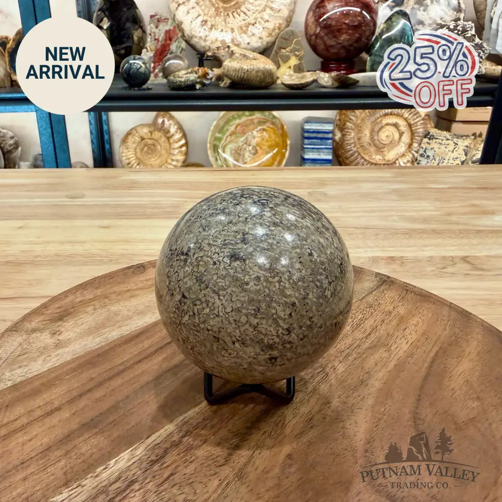 Reserve Fossilized Dinosaur Bone Sphere 3.24’’ - Fossil Sphere