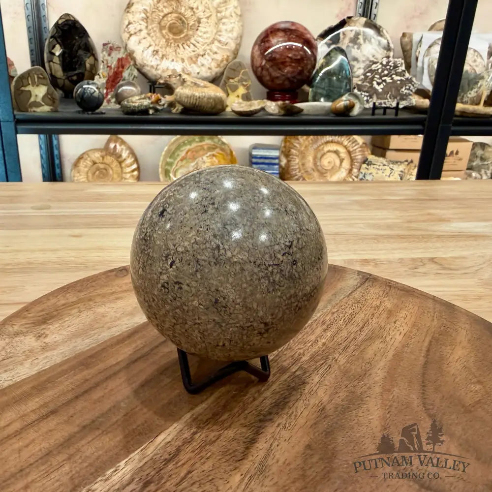 Reserve Fossilized Dinosaur Bone Sphere 3.24’’ - Fossil Sphere